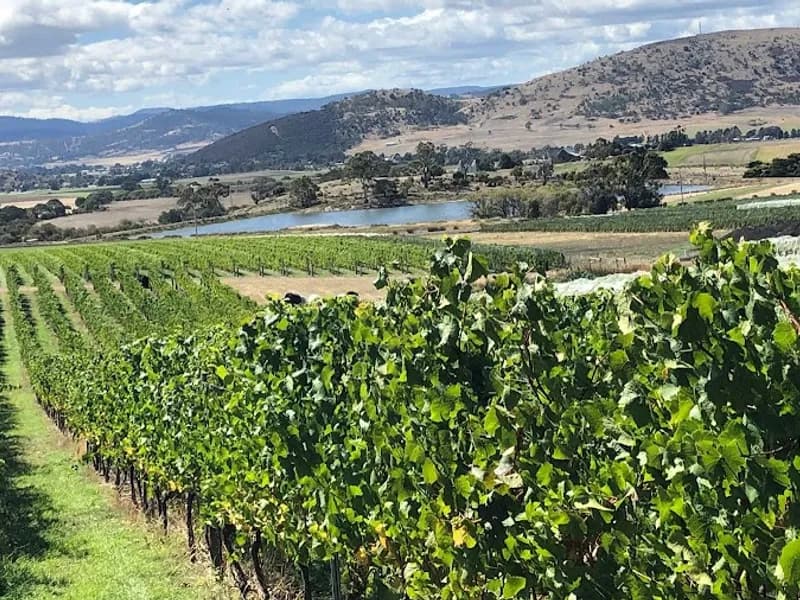 Bream Creek winery in Bream Creek, TAS