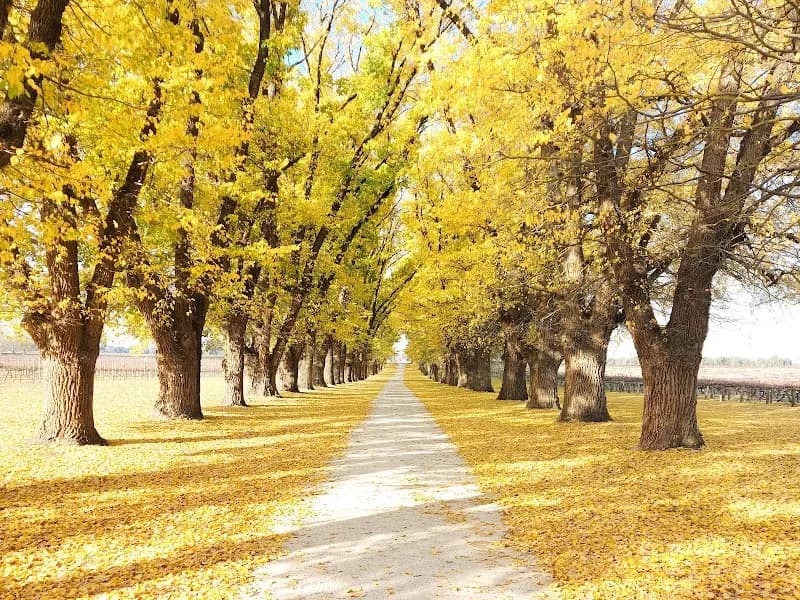 All Saints Estate winery in Wahgunyah, VIC