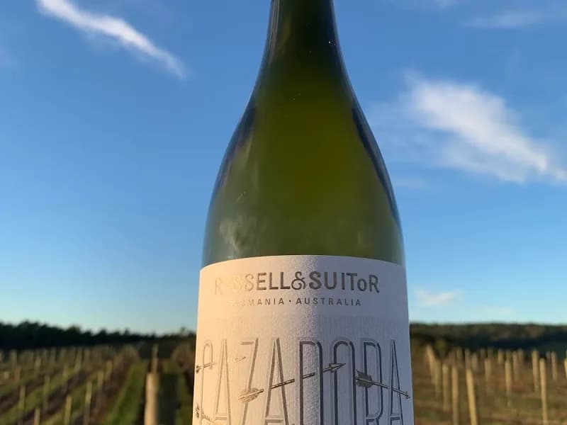 Panorama winery in Cradoc, TAS