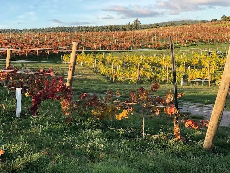 Panorama winery in Cradoc, TAS