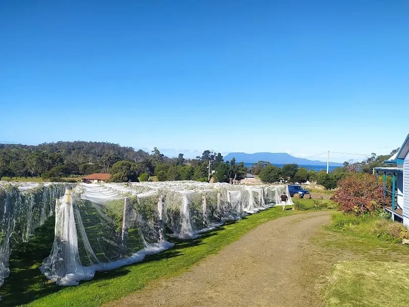 Pembroke winery in Cambridge, TAS