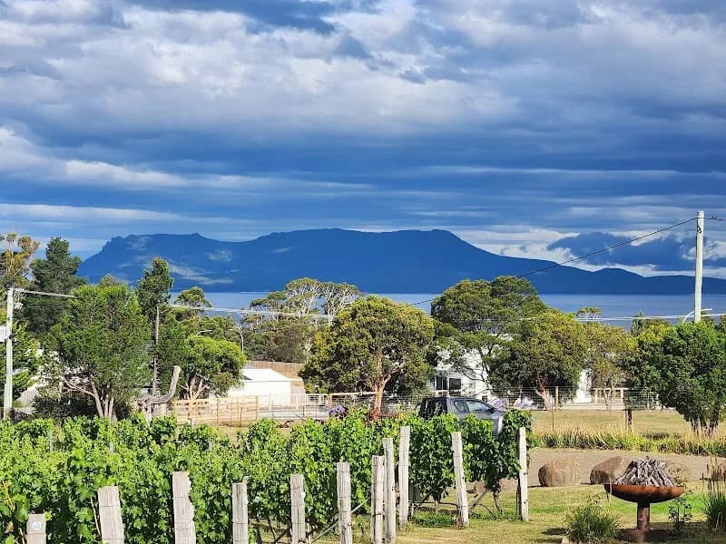 Pembroke winery in Cambridge, TAS