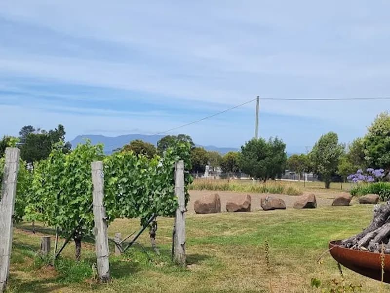 Pembroke winery in Cambridge, TAS