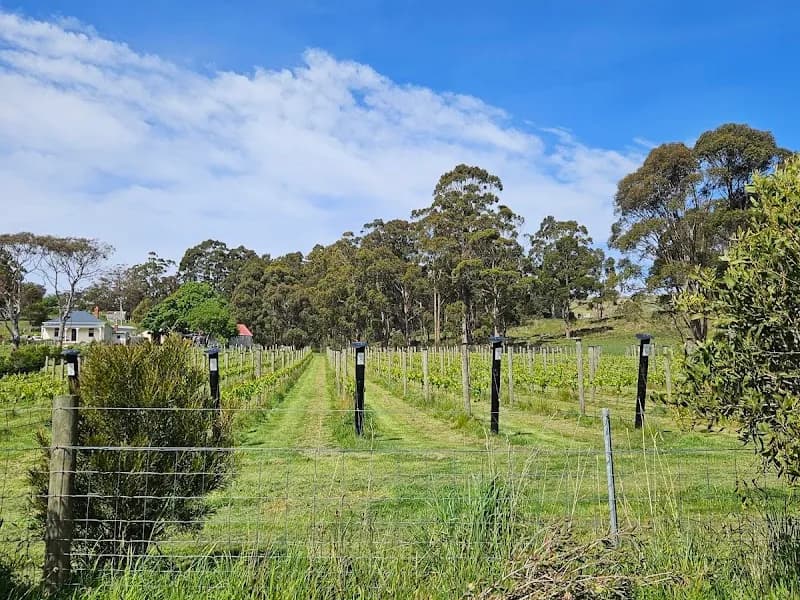 Resolution Vineyard winery in MIddleton, TAS