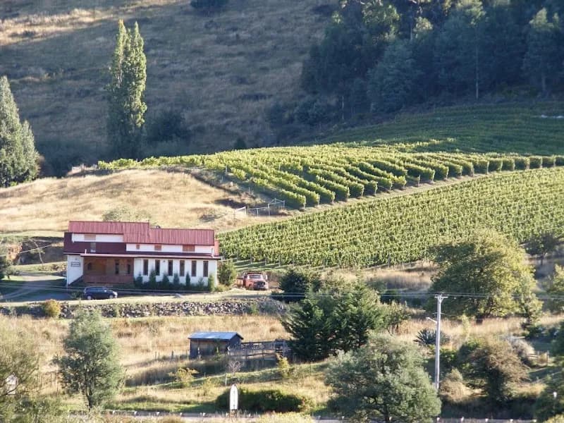 Roslyn Estate winery in Campania, TAS