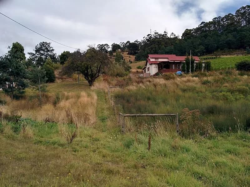 Roslyn Estate winery in Campania, TAS
