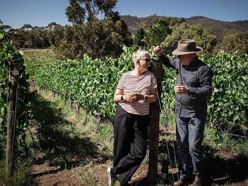 Heemskerk winery in White Hills, TAS
