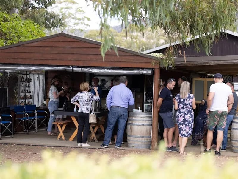 Heemskerk winery in White Hills, TAS