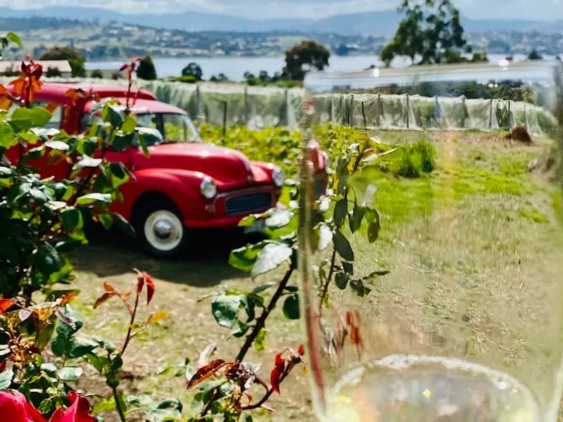 Heemskerk winery in White Hills, TAS