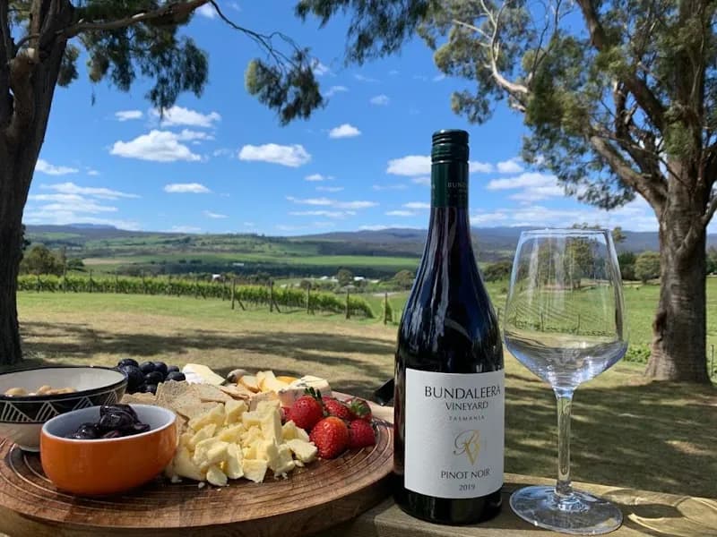 Hillwood Vineyard winery in Launceston, TAS