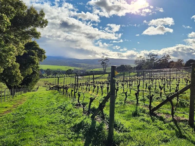 Hillwood Vineyard winery in Launceston, TAS
