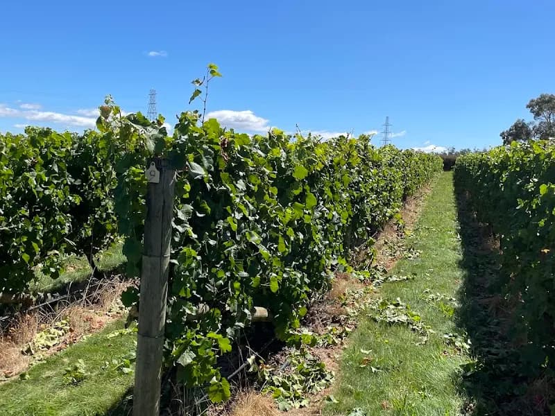 Uplands winery in Cambridge, TAS