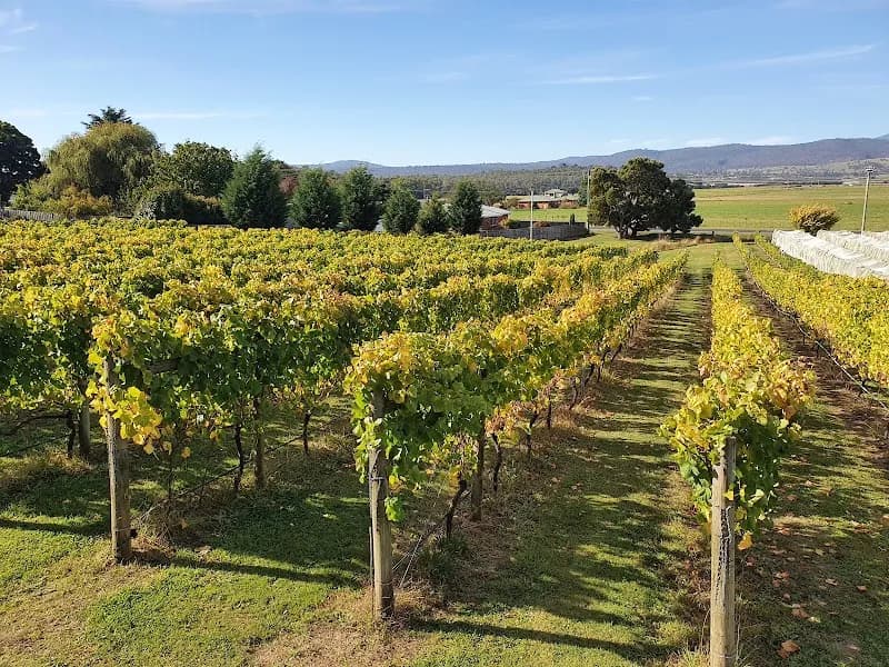 Waterton Hall Wines winery in Rowella, TAS
