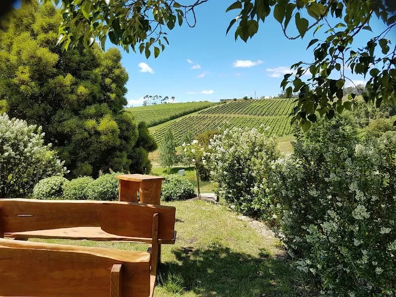 Winstead winery in Bagdad, TAS