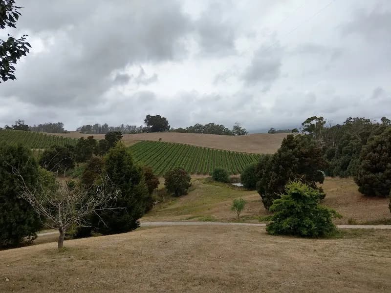 Winstead winery in Bagdad, TAS