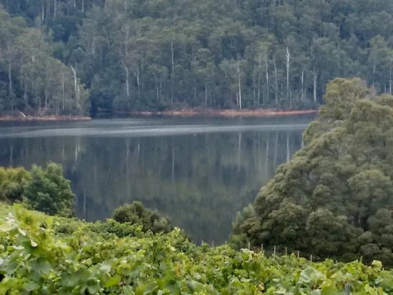 Kinvarra Estate winery in Plenty, TAS