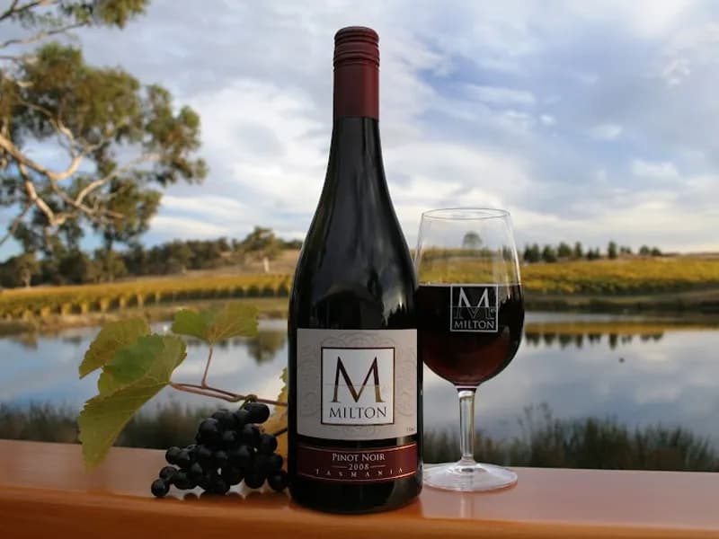 Bruny Island Wines winery in Lunawanna, TAS