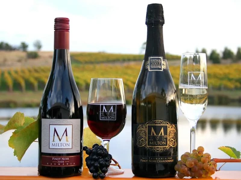 Bruny Island Wines winery in Lunawanna, TAS