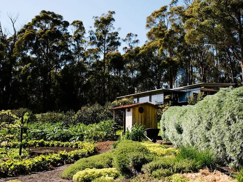 Sugarloaf Ridge winery in Carlton River, TAS