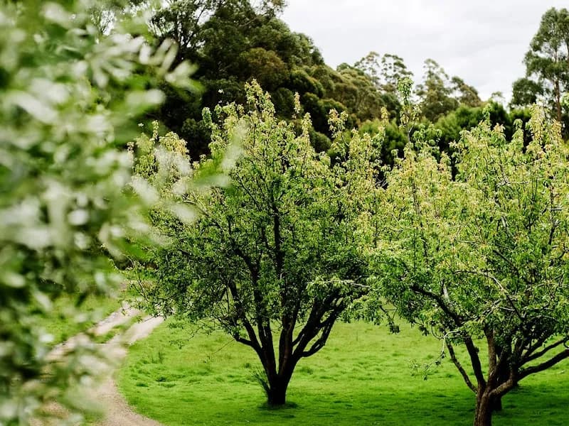 Sugarloaf Ridge winery in Carlton River, TAS