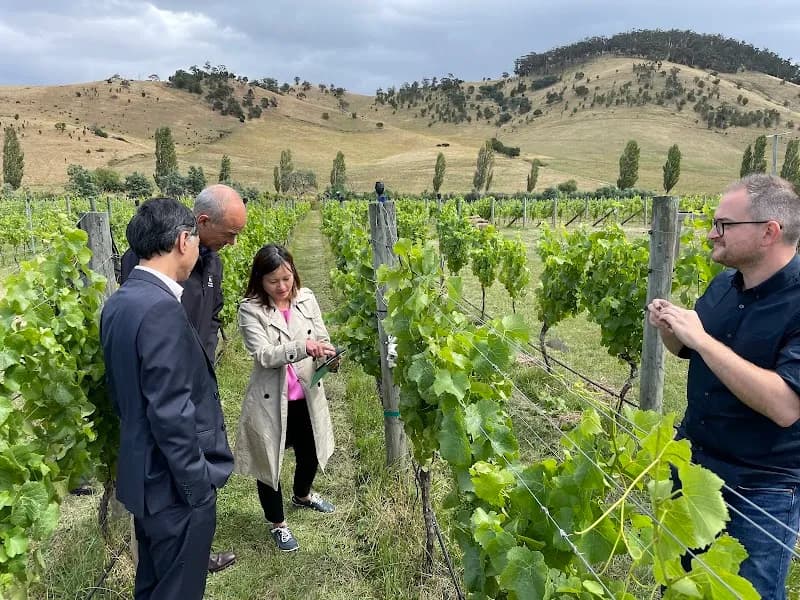 Glaetzer-Dixon Family Winemakers winery in Hobart, TAS