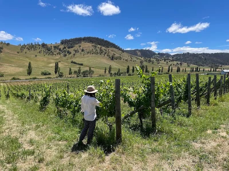Glaetzer-Dixon Family Winemakers winery in Hobart, TAS