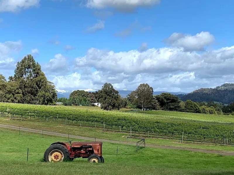 GlenAyr winery in Richmond, TAS