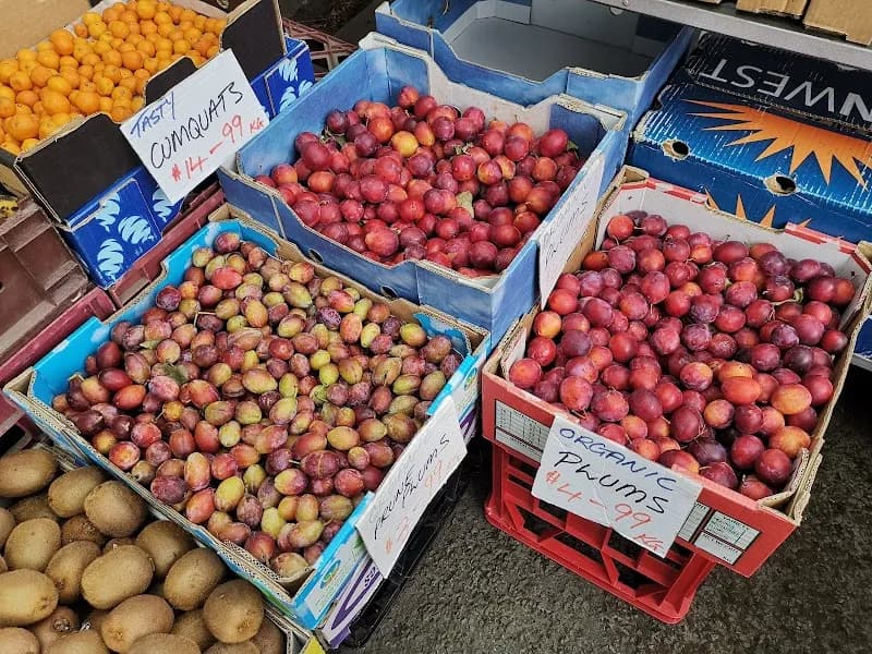 Bellendena Wines winery in Tinderbox, TAS