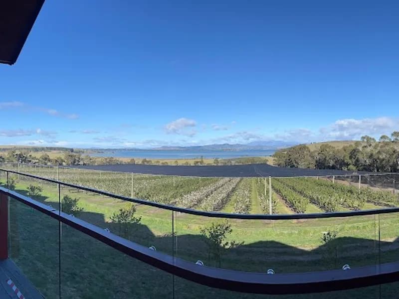 Vélo Wines winery in Legana, TAS