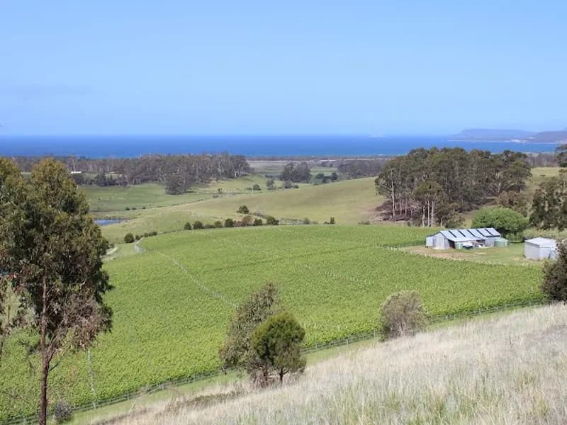 Vintner's Nest Wines winery in Rowella, TAS