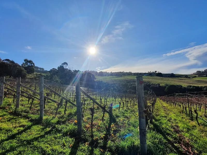 Vintner's Nest Wines winery in Rowella, TAS