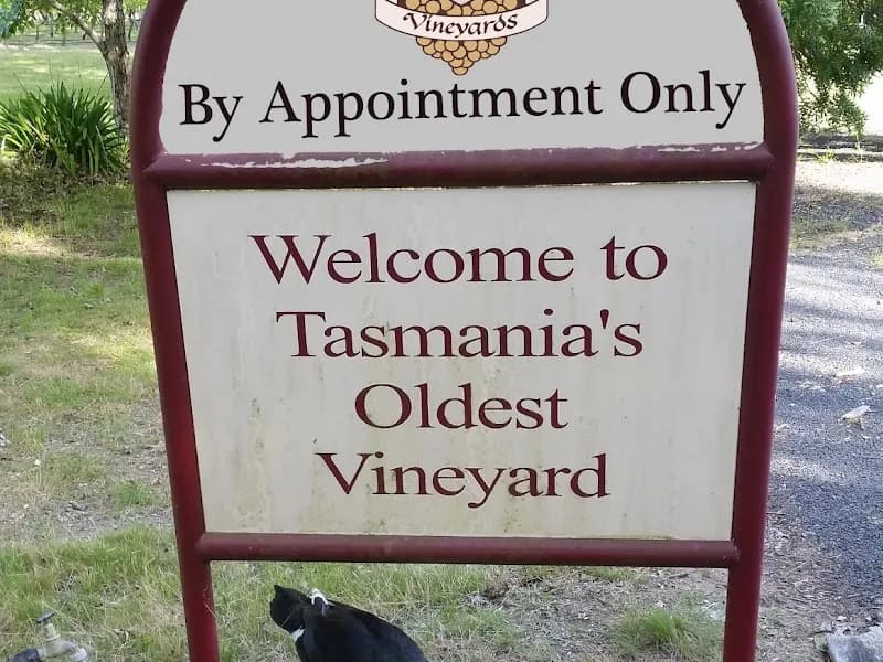 Liffey Valley Vineyard winery in Liffey, TAS