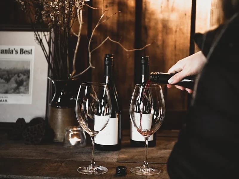 Motton Terraces winery in North Motton, TAS