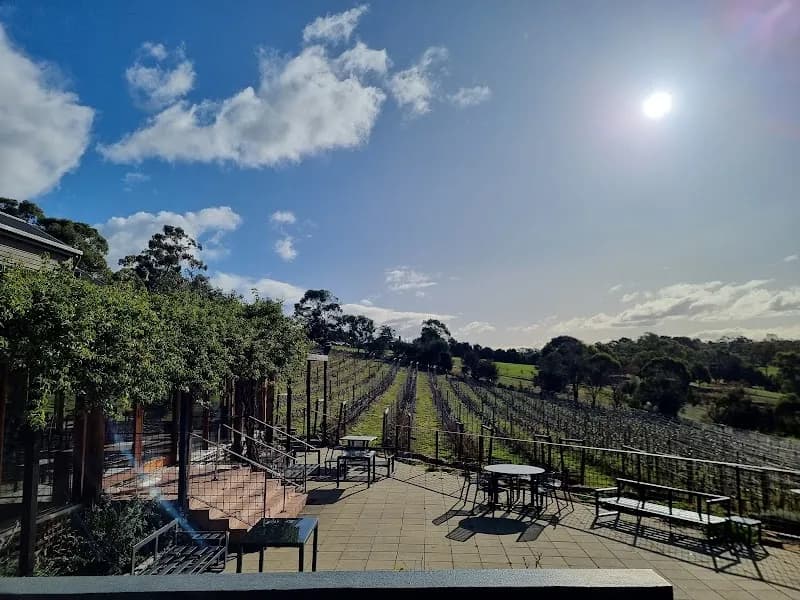 Elsewhere Vineyard winery in Glaziers Bay, TAS