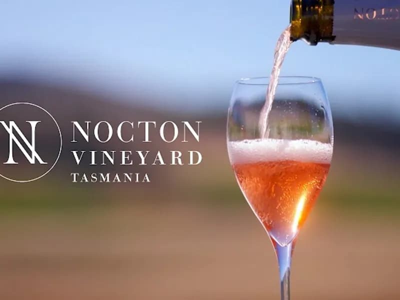 572 Richmond Road winery in Cambridge, TAS