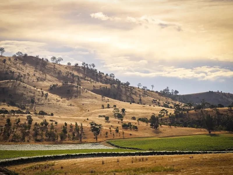 572 Richmond Road winery in Cambridge, TAS