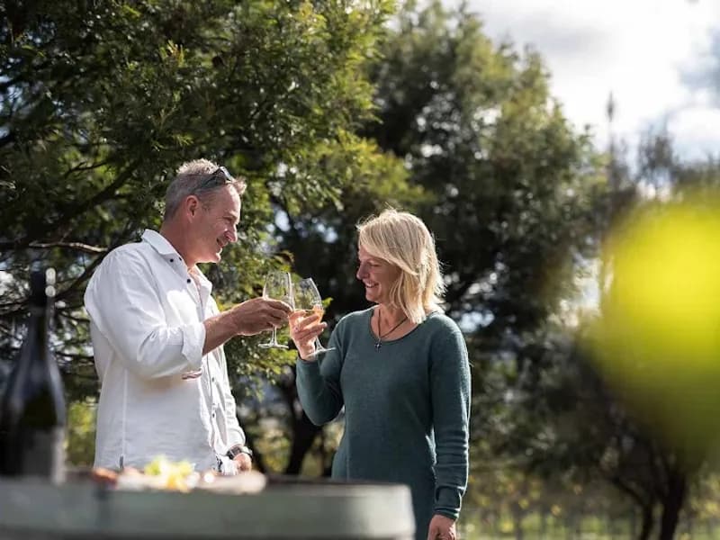 3 Willows Vineyard winery in Red Hills, TAS