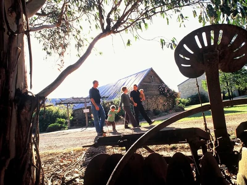 No Regrets Vineyard winery in Glaziers Bay, TAS