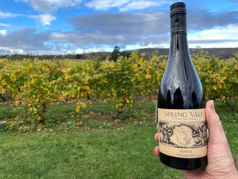 No Regrets Vineyard winery in Glaziers Bay, TAS