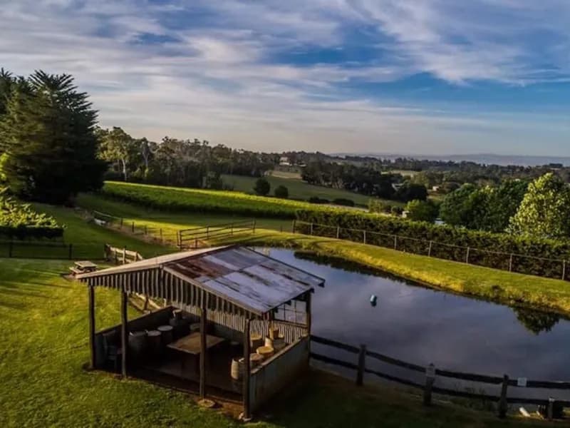 Oyster Cove Vineyard winery in Oyster Cove, TAS