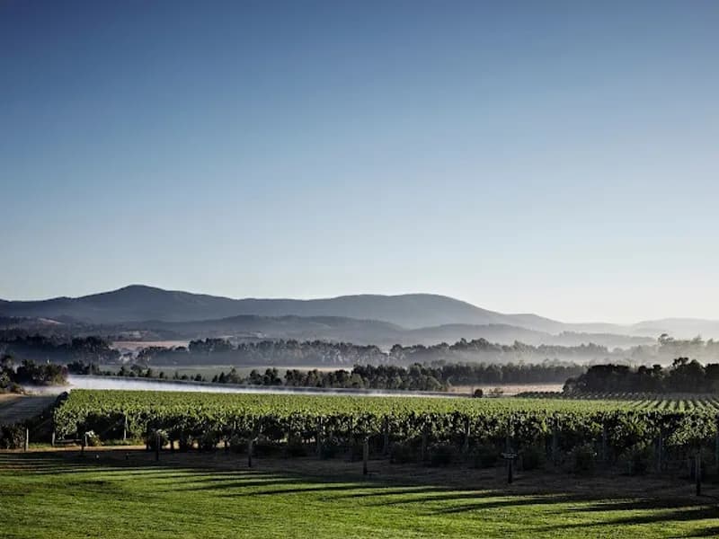 Landscape Wines winery in Richmond, TAS