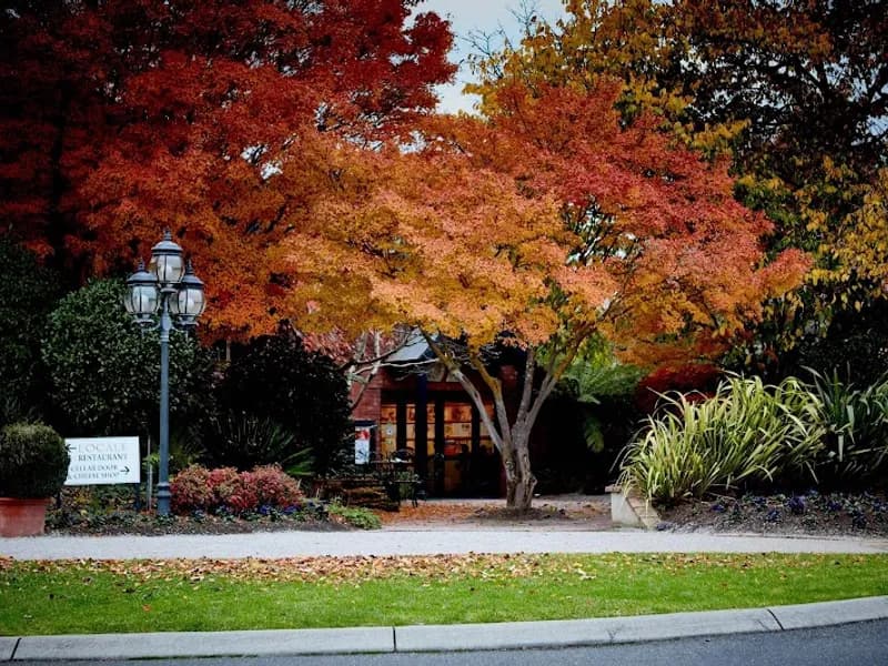 Highclare Estate winery in Launceston, TAS