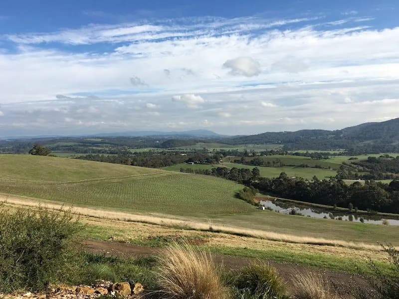 Shy Susan Wines winery in Bright, TAS