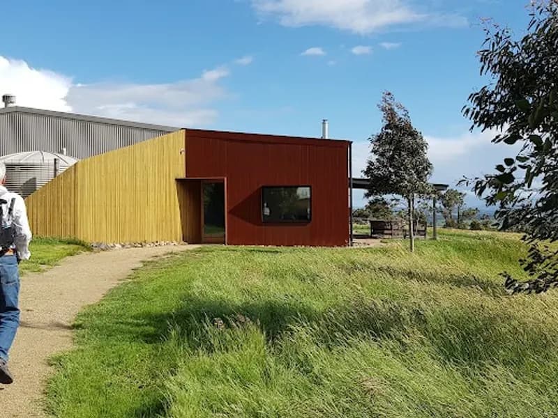 Shy Susan Wines winery in Bright, TAS
