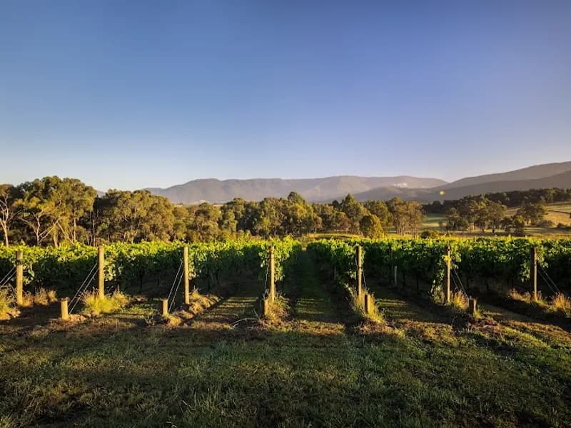 Glendale Estate winery in Sidmouth, TAS