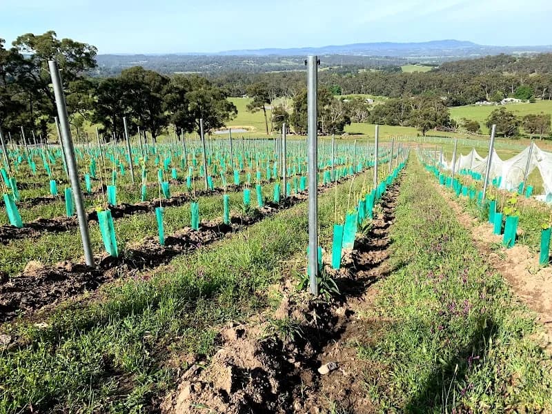Glendale Estate winery in Sidmouth, TAS