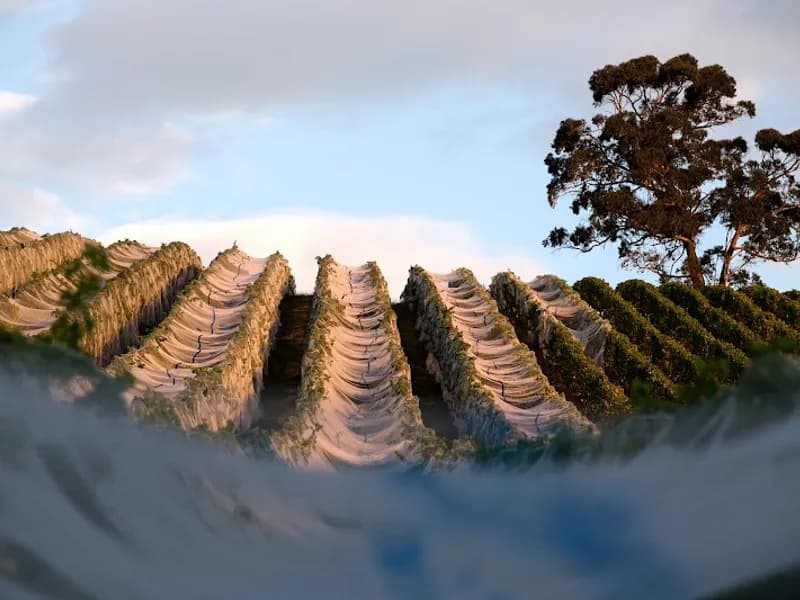 Goaty Hill Wines winery in Kayena, TAS