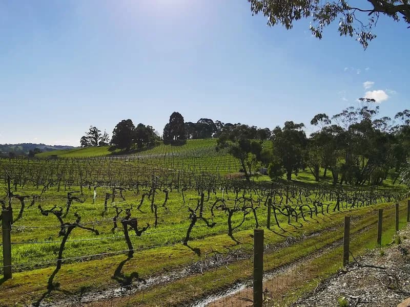 Caledon winery in Richmond, TAS