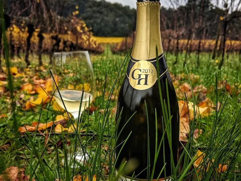 Nocton Vineyard winery in Richmond, TAS