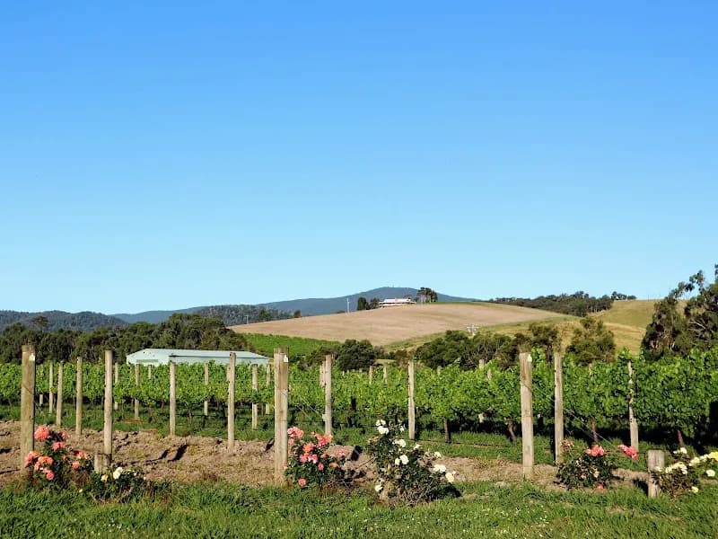 Spring Vale Vineyards winery in Cranbrook, TAS